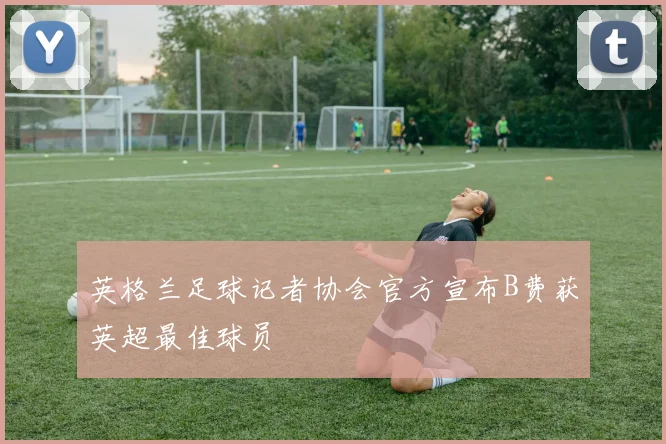 英格兰足球记者协会官方宣布B费获英超最佳球员