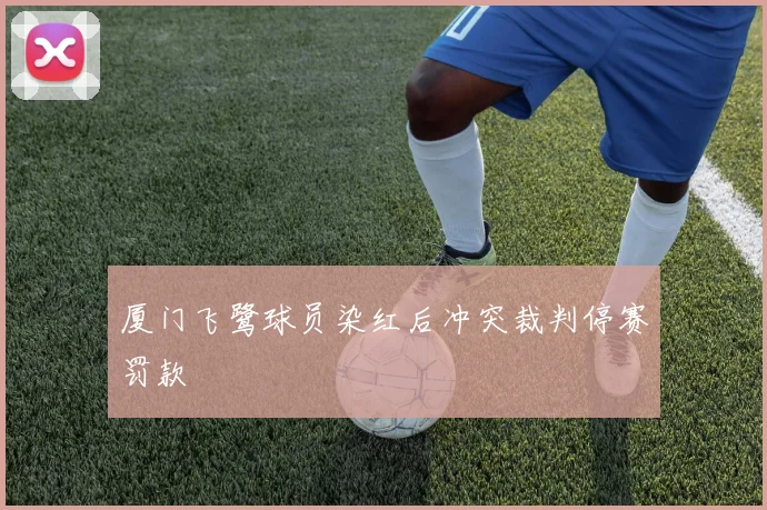 厦门飞鹭球员染红后冲突裁判停赛罚款